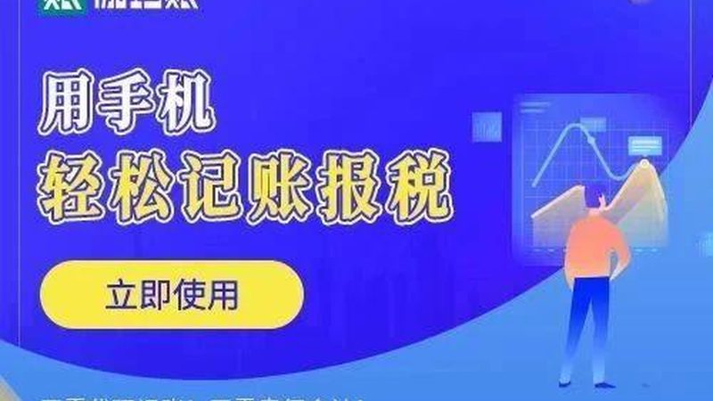 实体公司代理记账与平台代理记账：优劣势对比解析